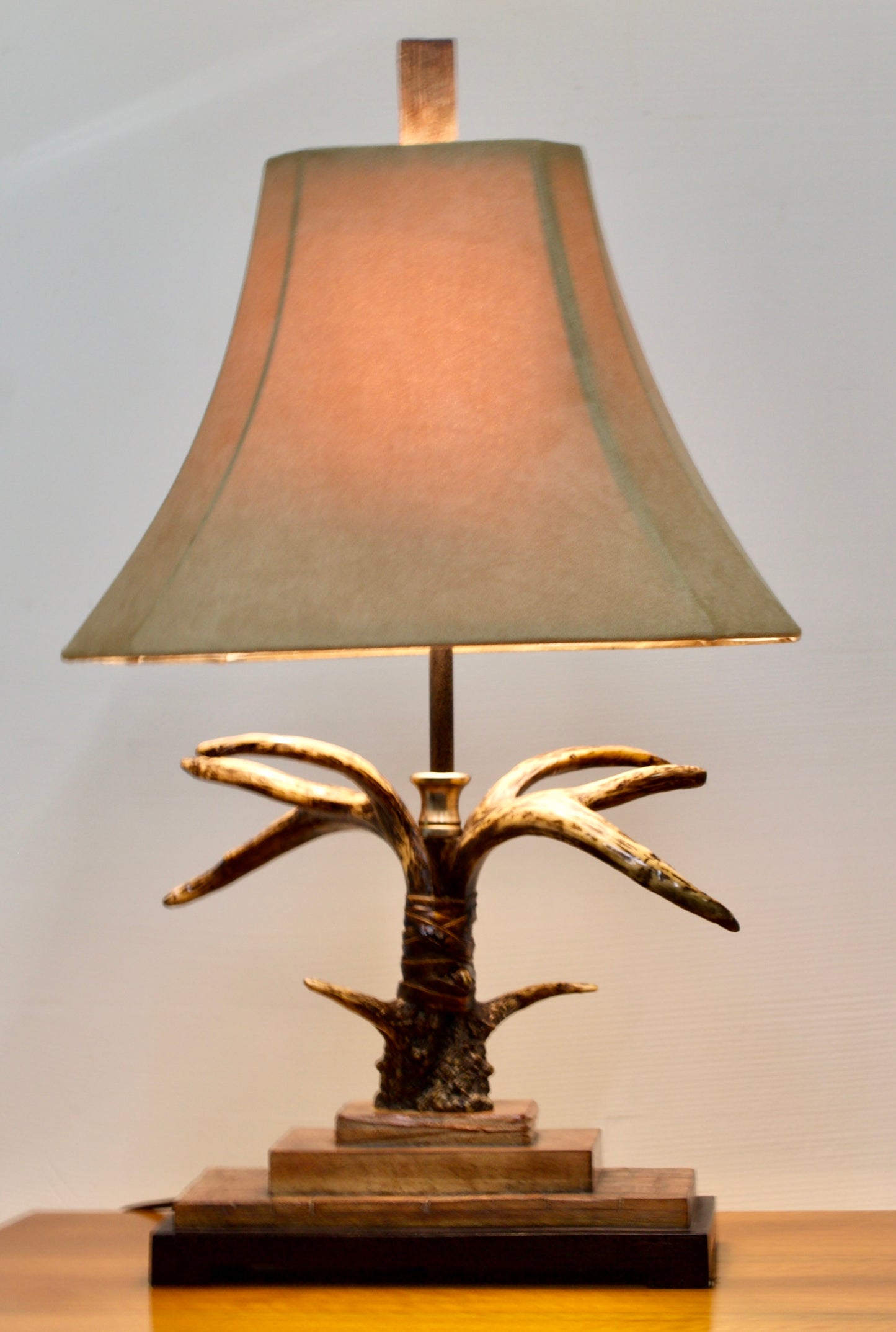Faux Antler Table Lamps | Pair