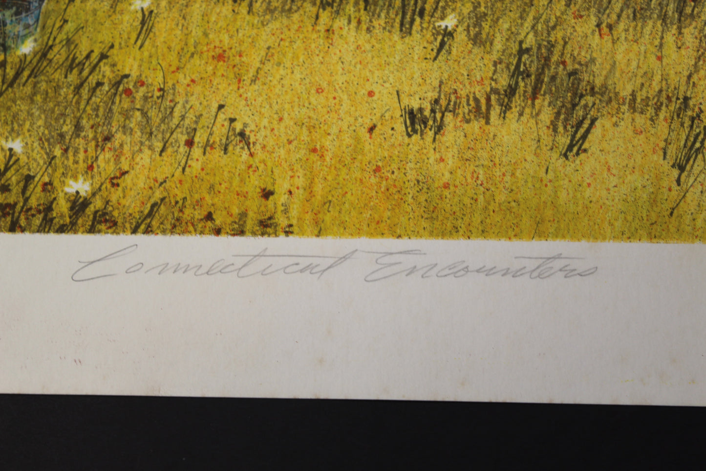 "Connecticut Encounter" | Artist Signed & Numbered Print.