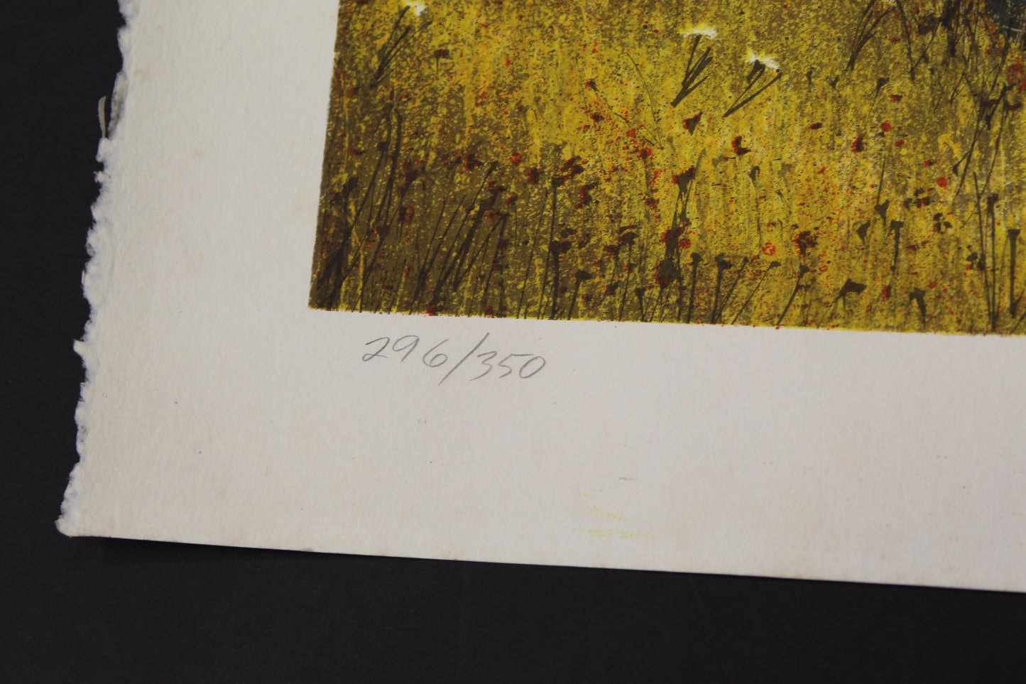 "Connecticut Encounter" | Artist Signed & Numbered Print.