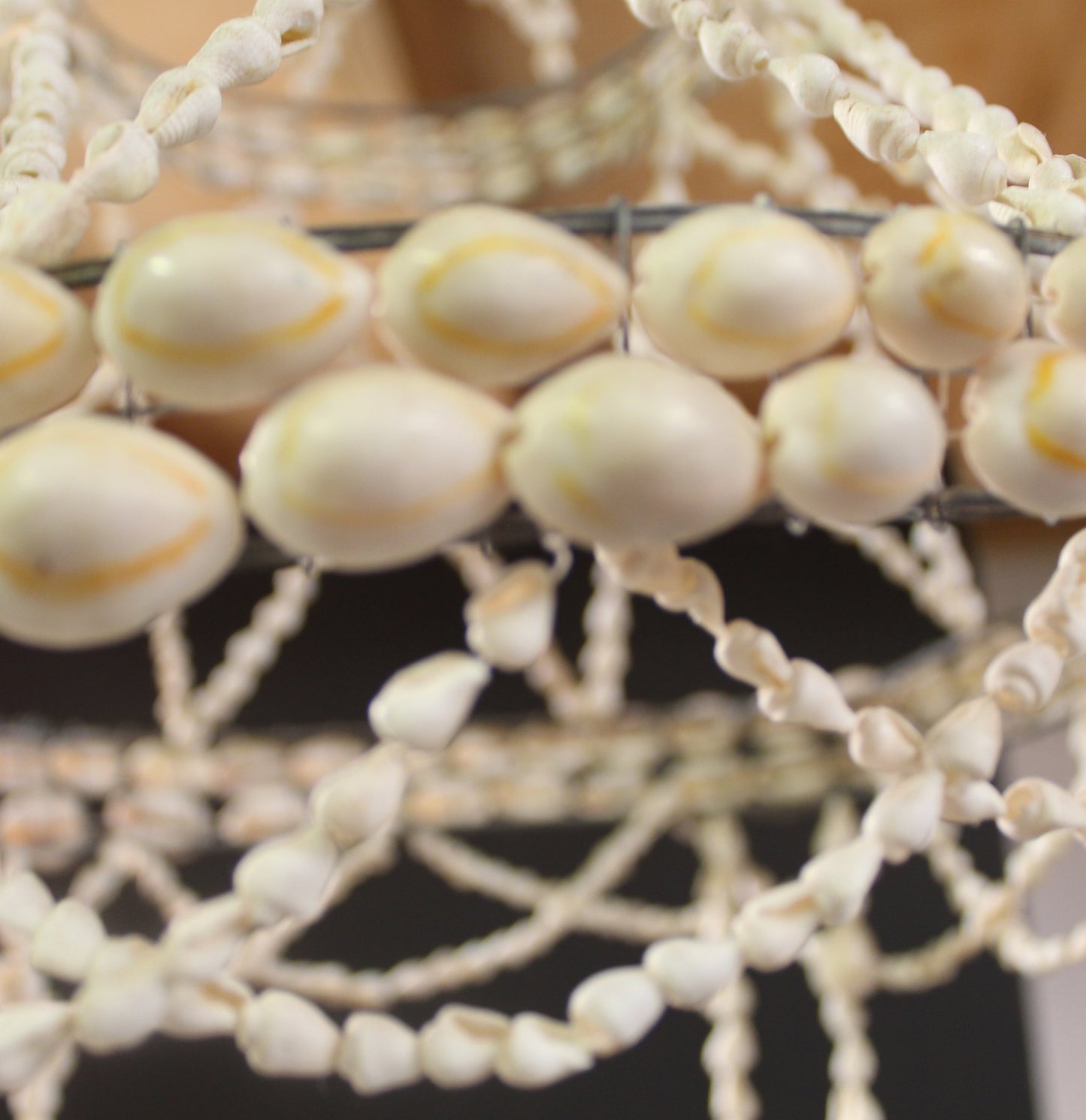 Cowrie Shell Plant Holder