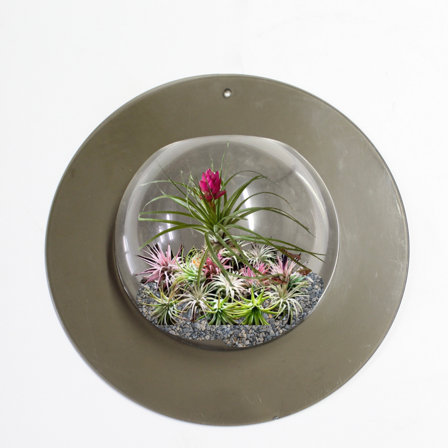 Vintage Plastic Bulb Terrarium Plant Hanger