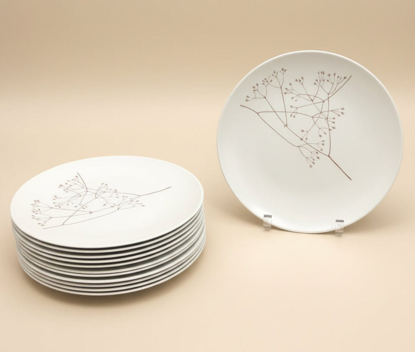 Set of 6 | Russel Wright Botanica Dinner Plates