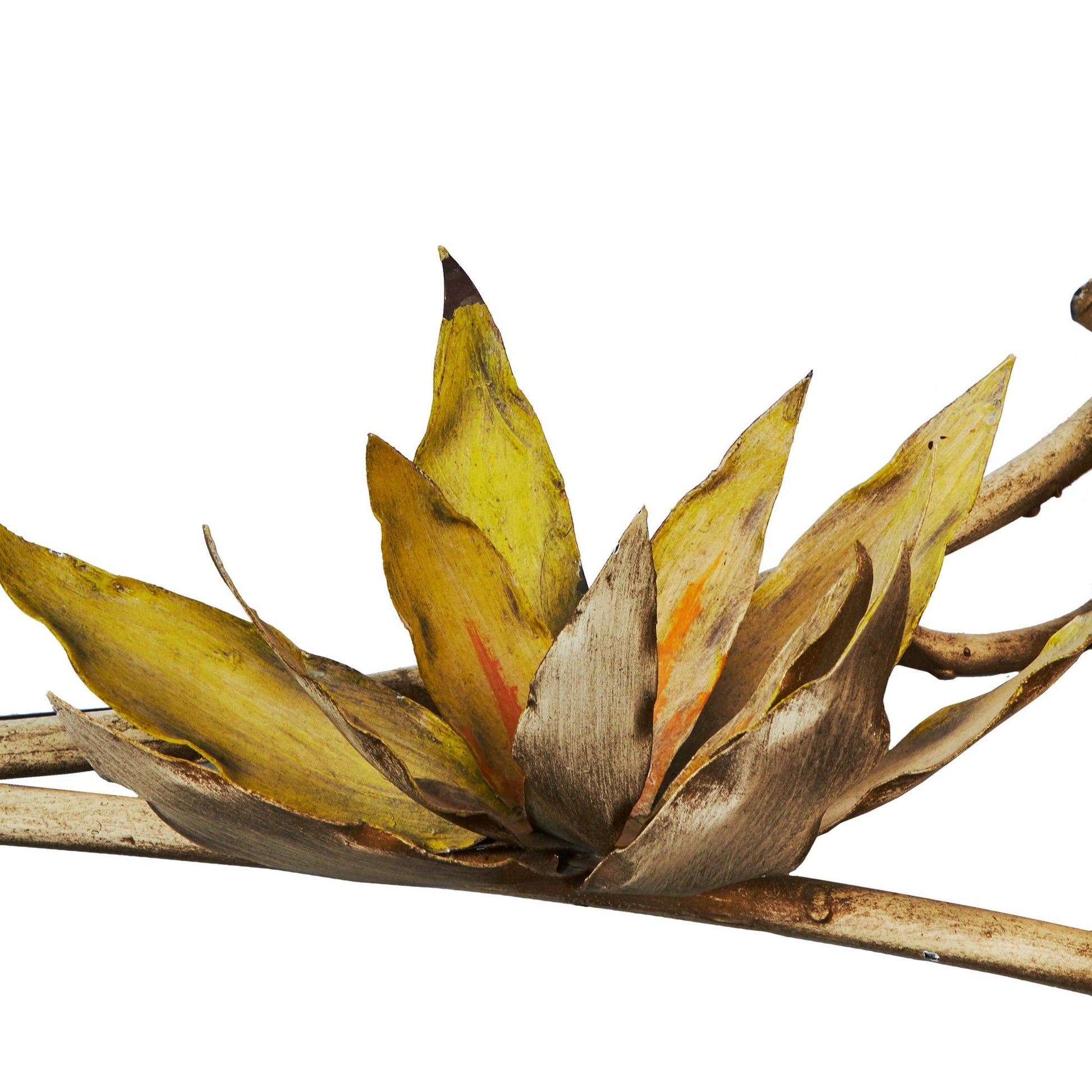 1960s Lotus Flower On Bones Wrought Iron Coffee Table | Silas Seandel | Desert Scene from OffCenterModern