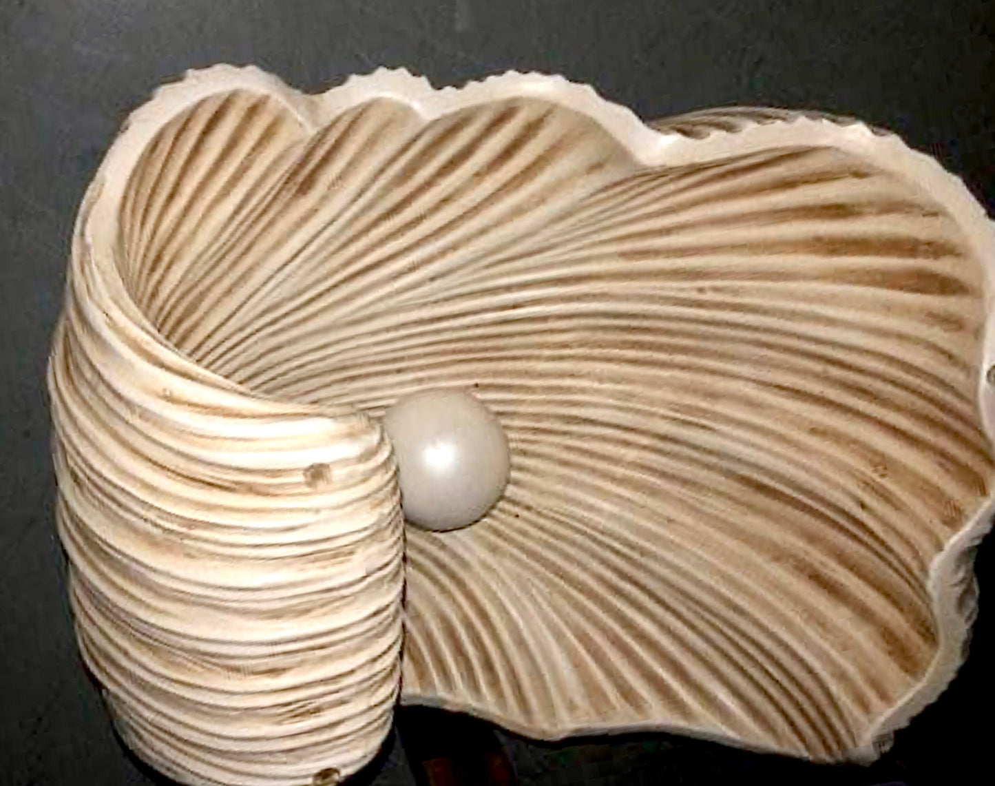 Rare 1980s Oyster Shell with Pearl Sculptural Coffee Table, coffee table, pearl coffee table, 