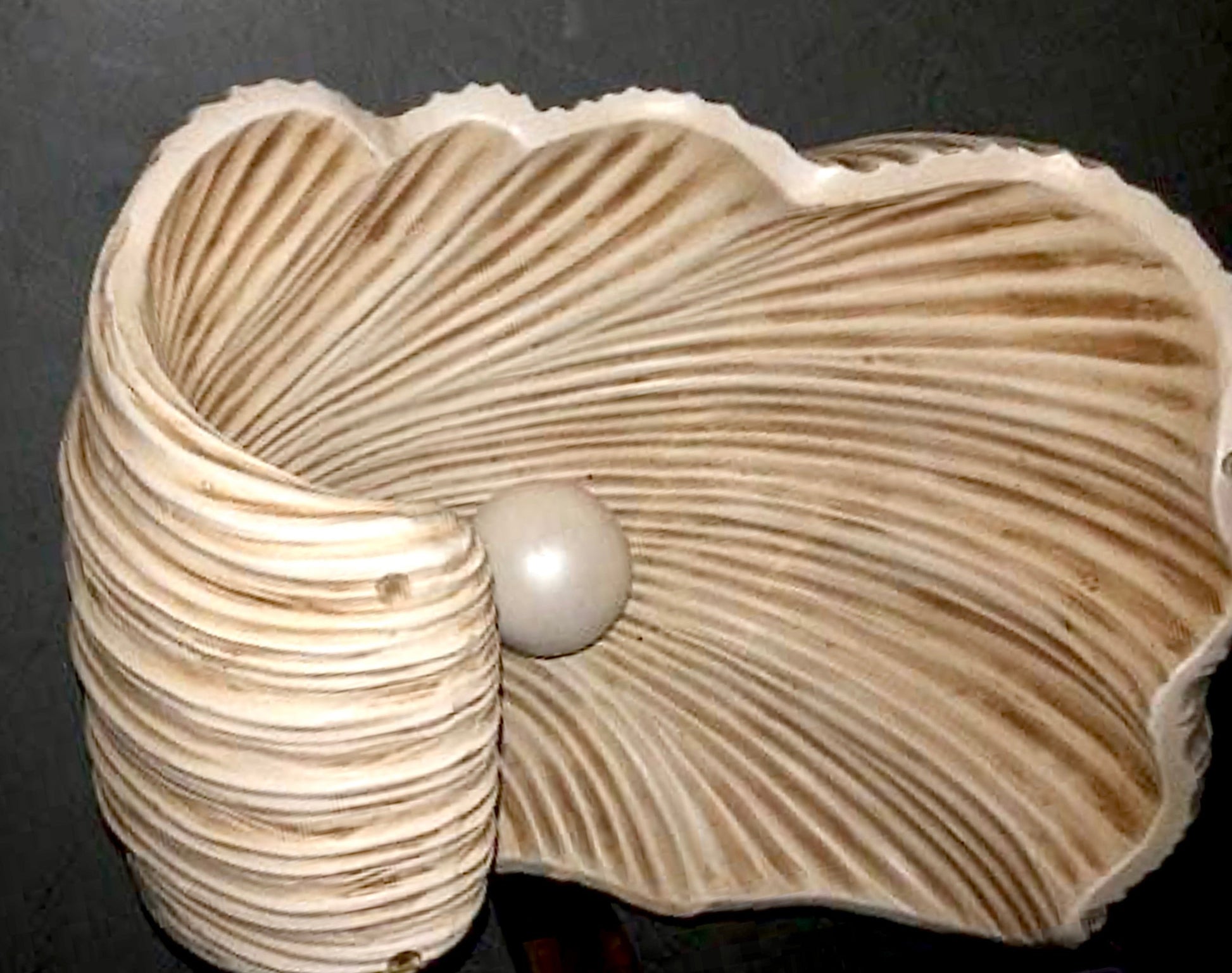 Rare 1980s Oyster Shell with Pearl Sculptural Coffee Table, coffee table, pearl coffee table, 