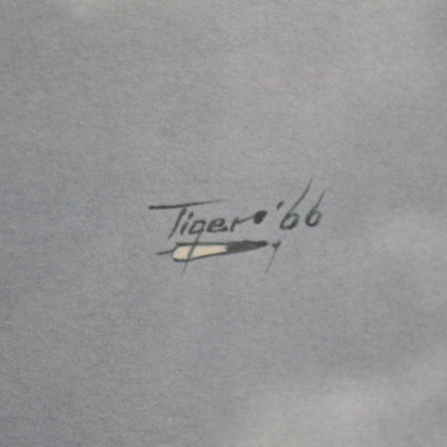 Vintage Jerome Tiger Print | Beginning.., Limited Edition Art