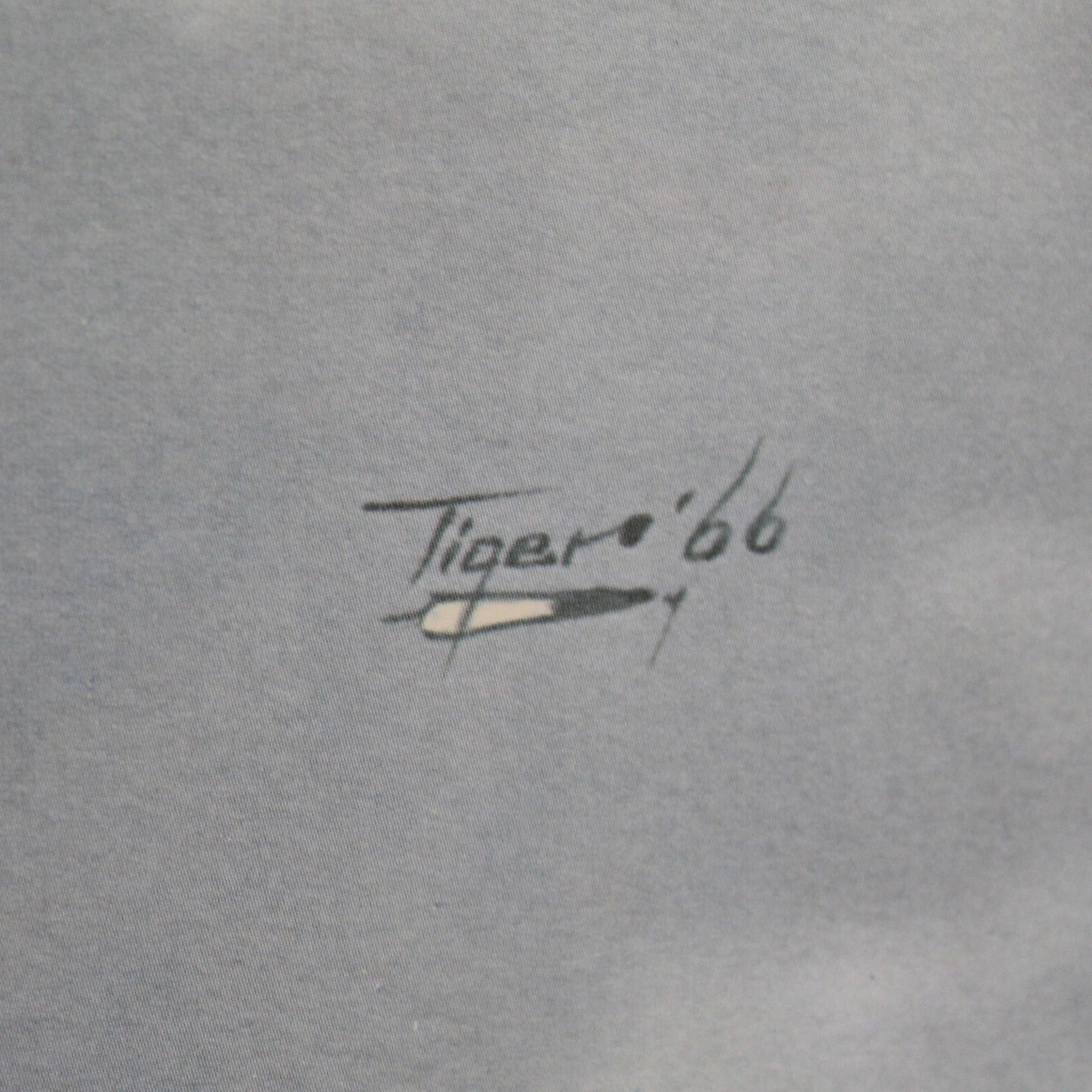 Vintage Jerome Tiger Print | Beginning.., Limited Edition Art