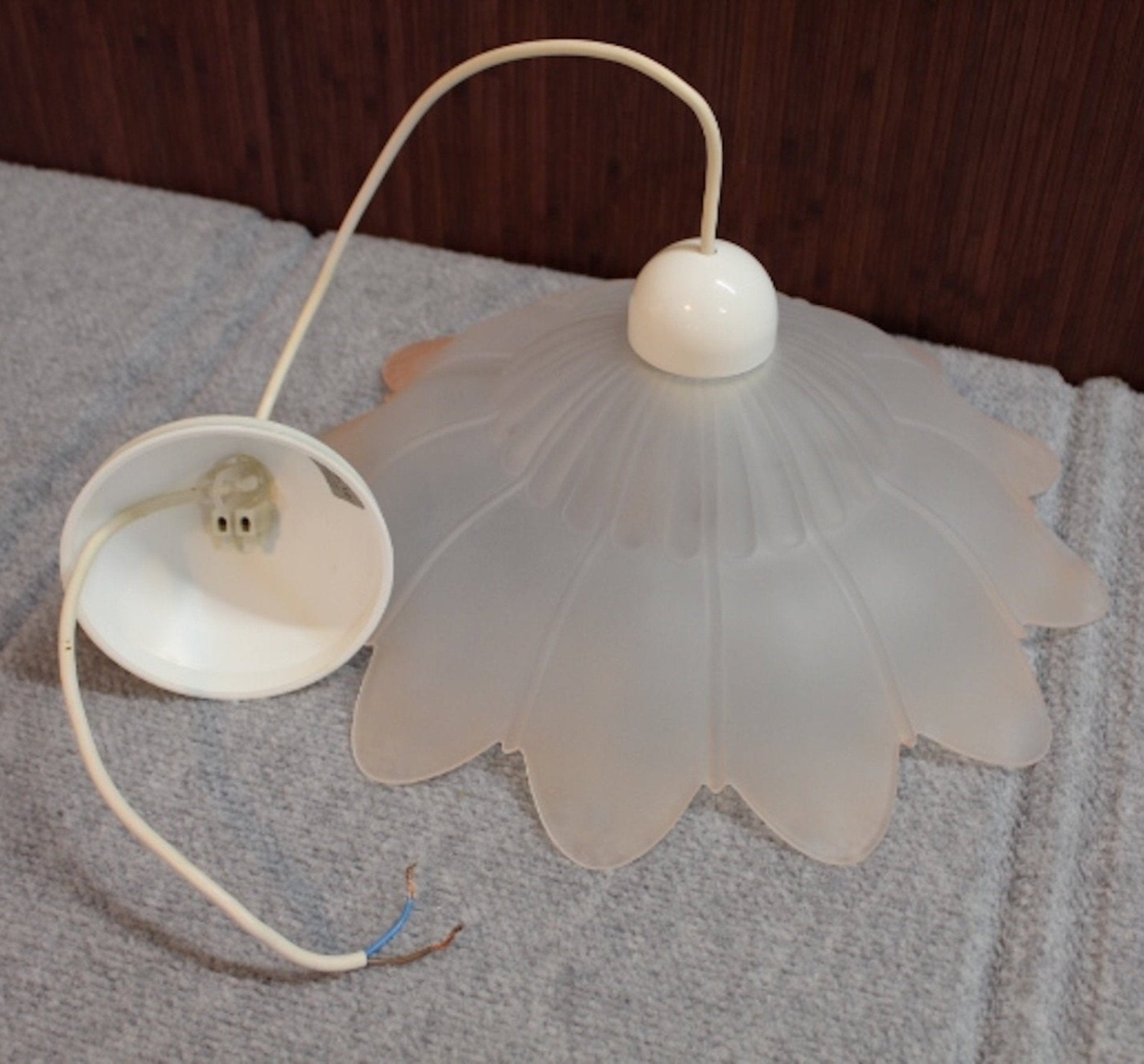Art Nouveau Style Pendant Light