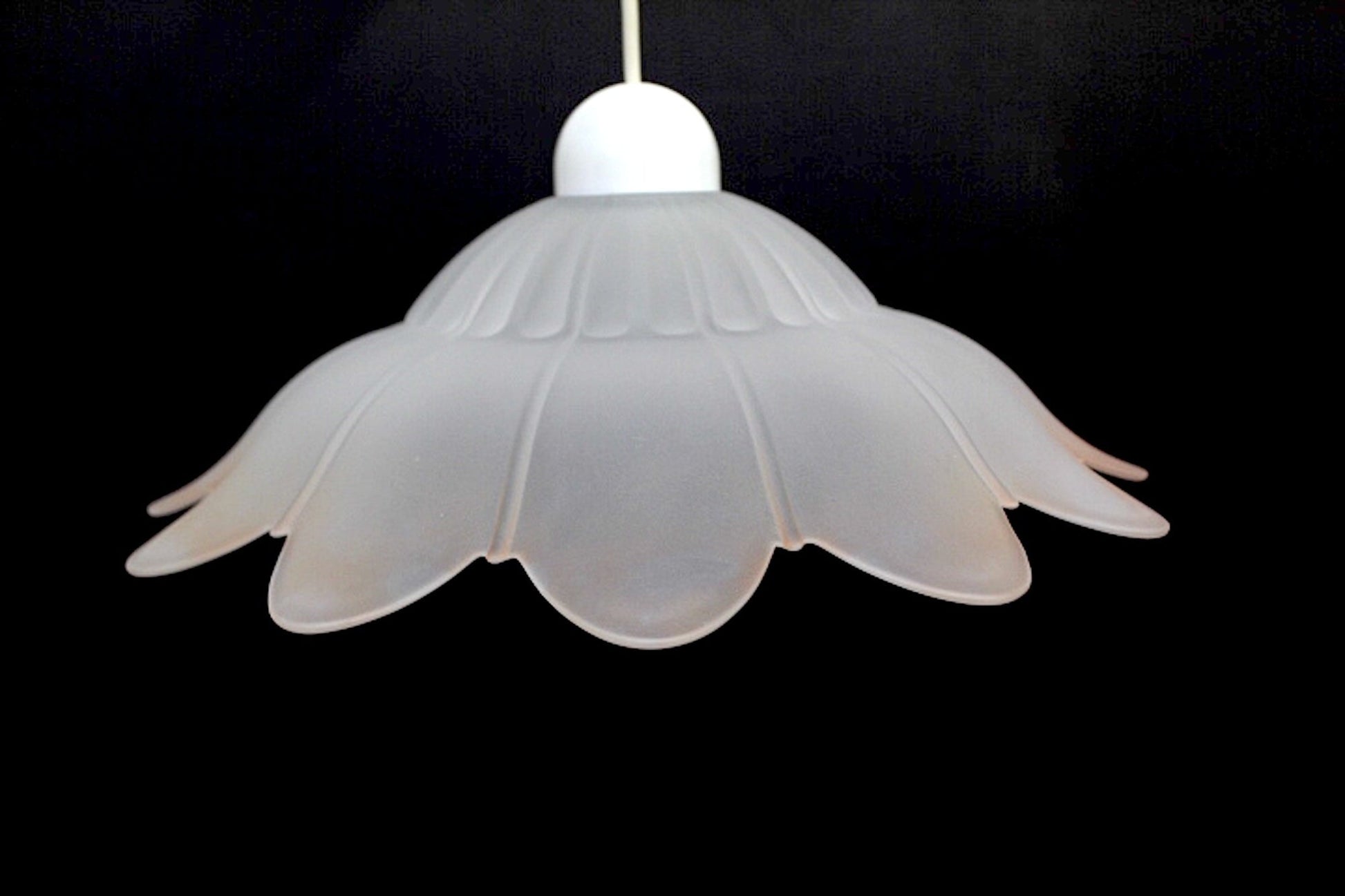 Frosted Glass Flower Shaped Pendant Light