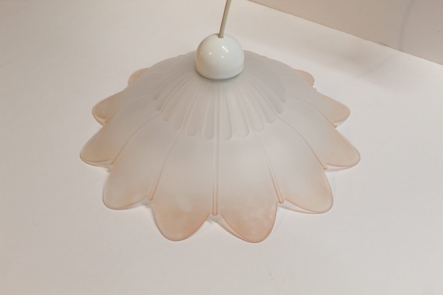 Frosted Glass Flower Shaped Pendant Light