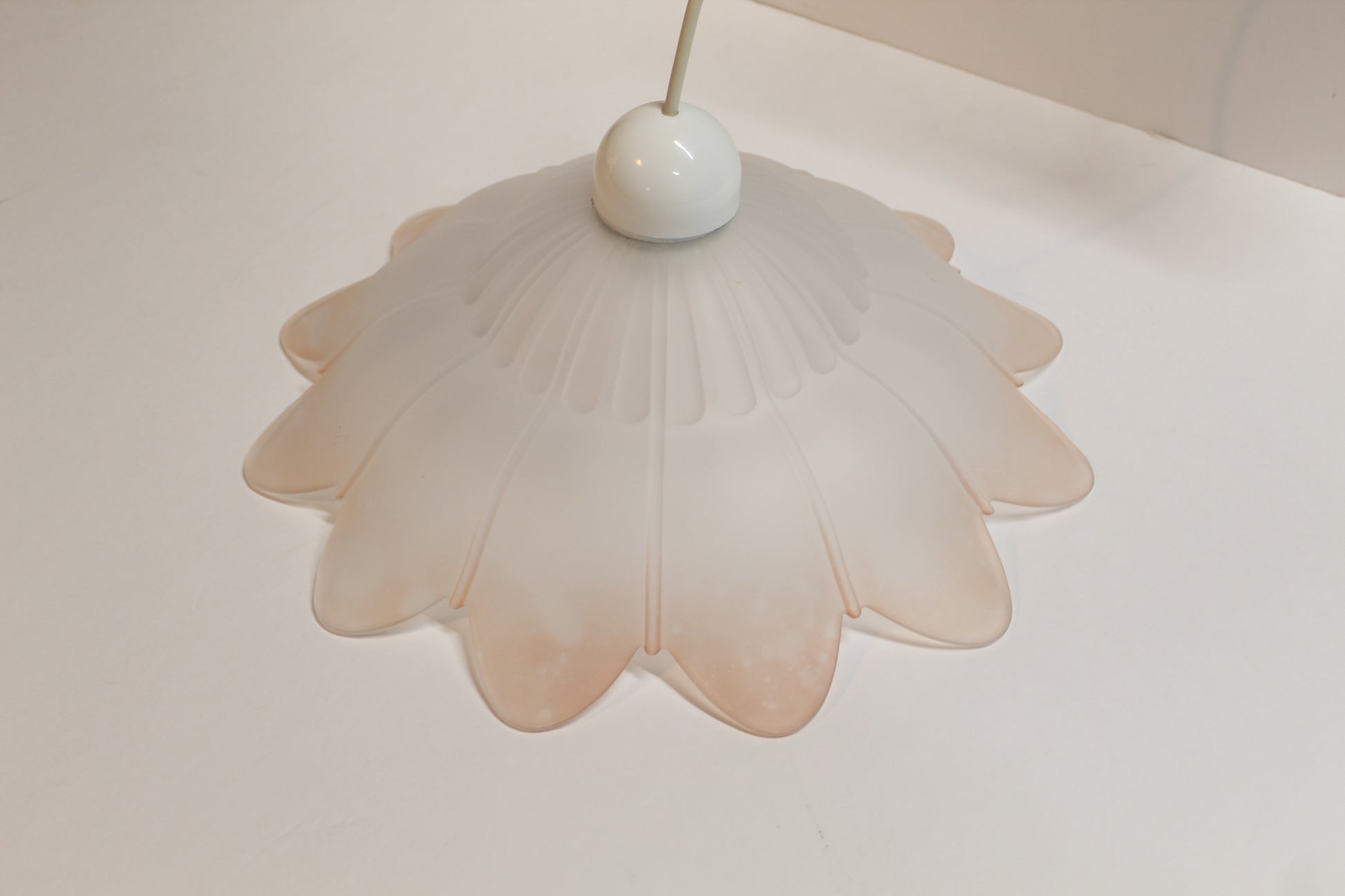 Frosted Glass Flower Shaped Pendant Light