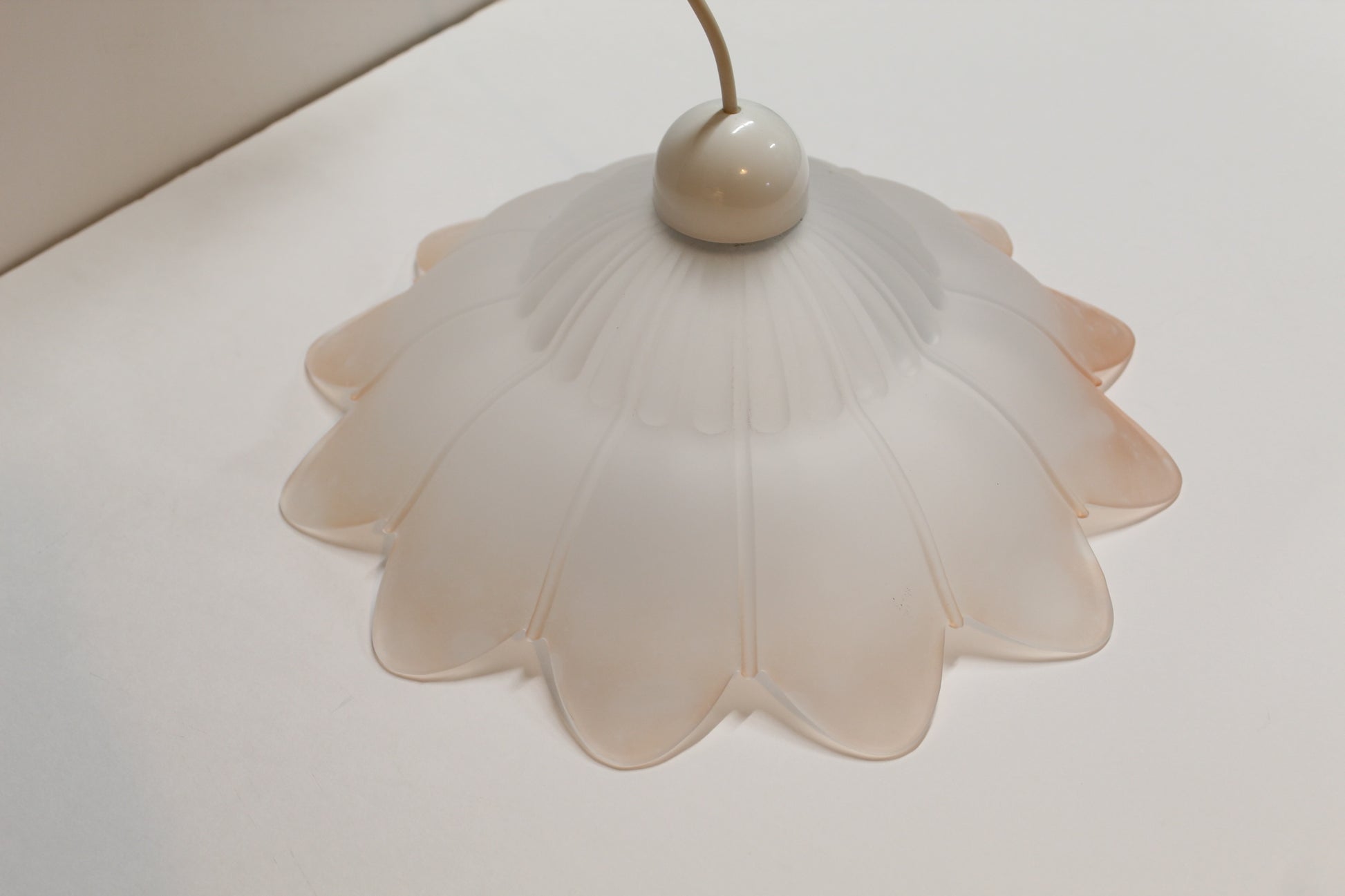 Frosted Glass Flower Shaped Pendant Light
