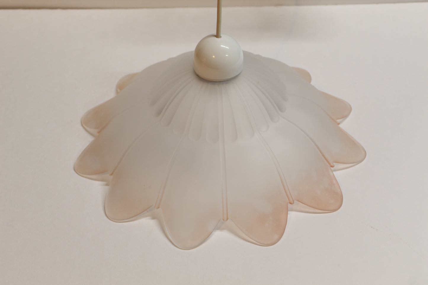 Frosted Glass Flower Shaped Pendant Light