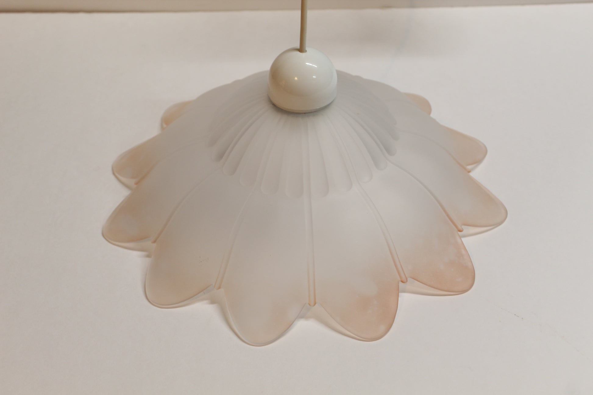 Frosted Glass Flower Shaped Pendant Light