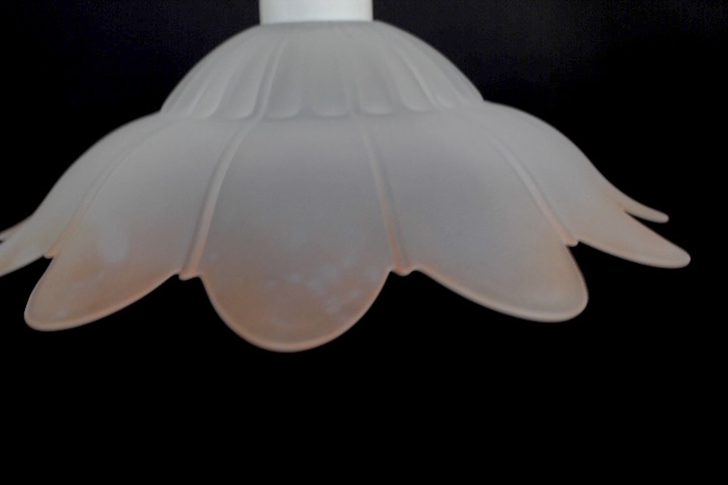 FrostedGlassFlowerPendantLight
