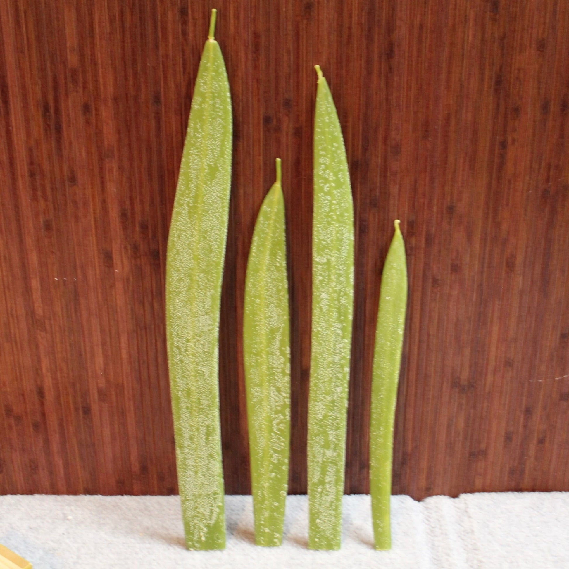 Hurd Beeswax Candles, Freemark Abbey Winery, St Helena, California, U.S.A.  
