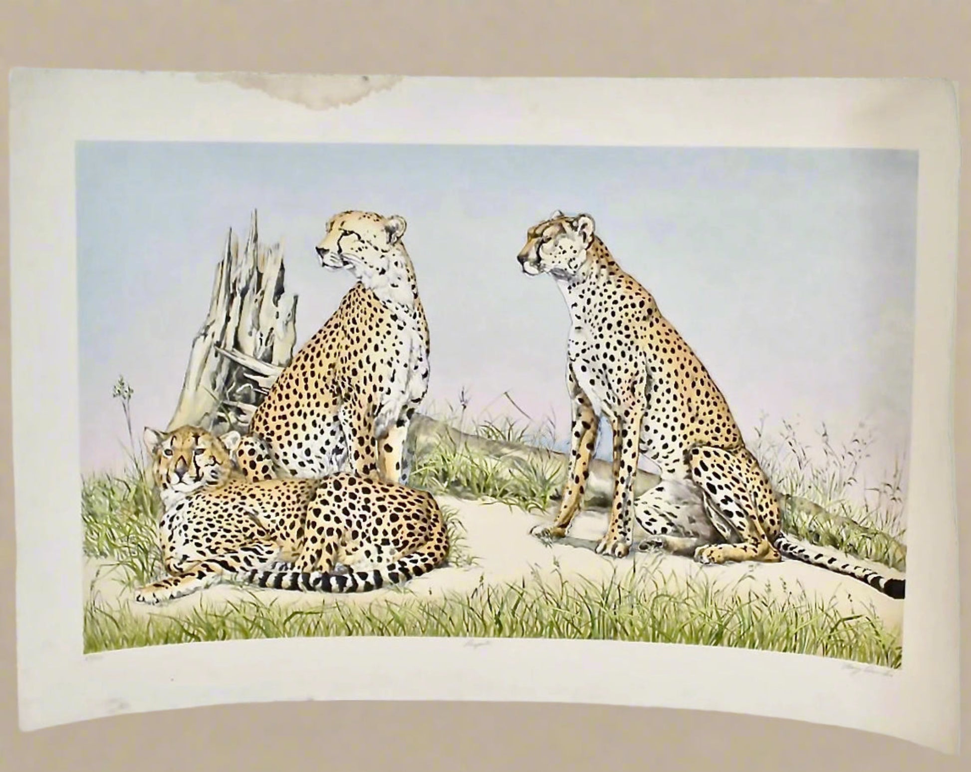 Artist Signed Print 