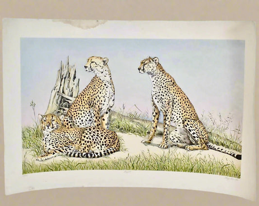 Artist Signed Print 