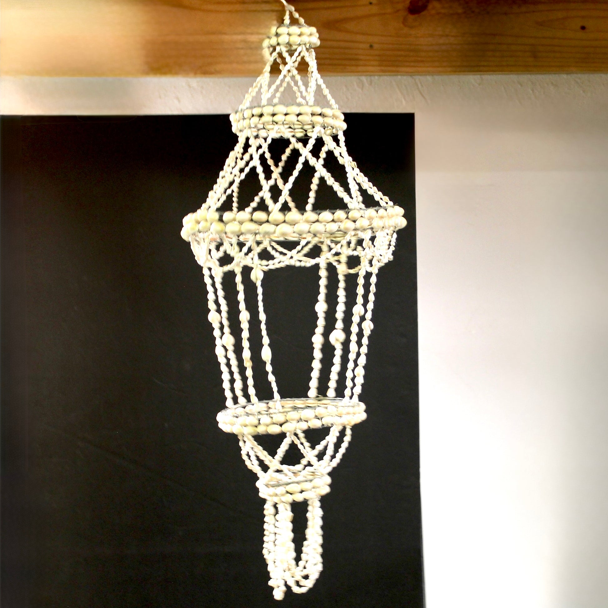 sea shell plant hanger Vintage Sea Shell Hanging Plant Holder – Off Center Modern