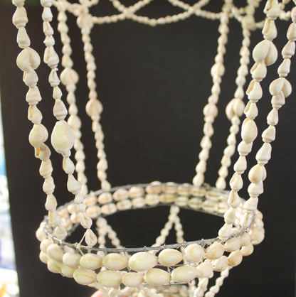 Cowrie Shell Plant Holder