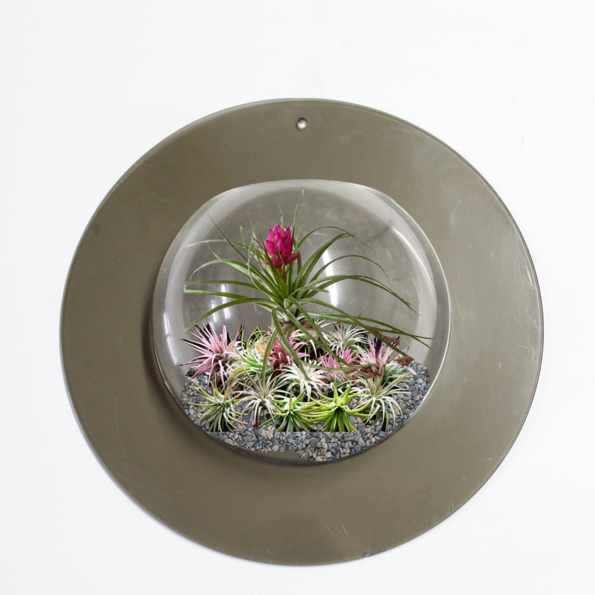 Vintage Plastic Bulb Terrarium Plant Hanger