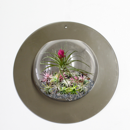 Vintage Plastic Bulb Terrarium Plant Hanger