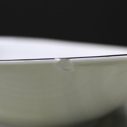 View of a chip in aVintage Mid-Century Meito Japan "Tempo" Oval Vegetable Serving Bowl - Atomic Swirl.
