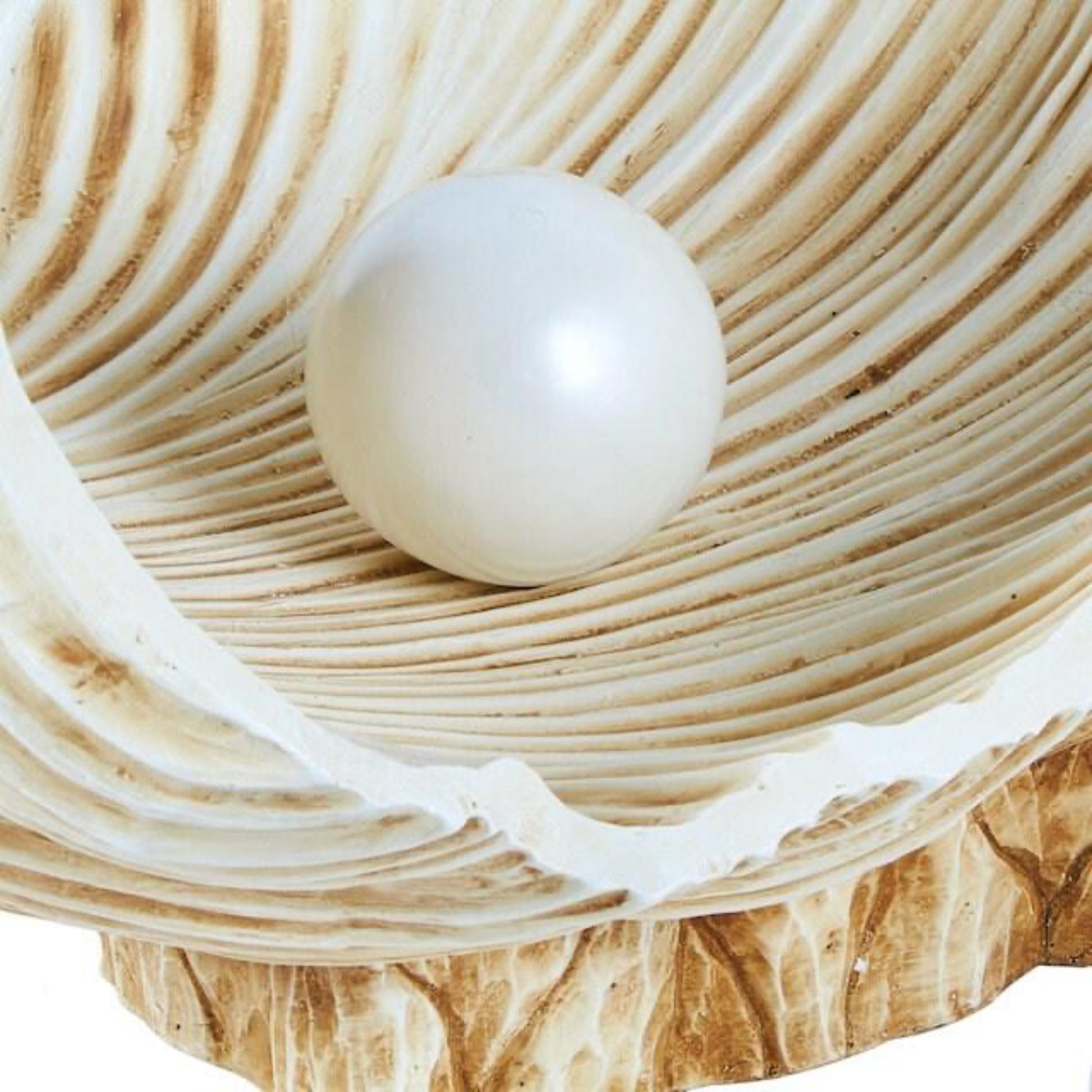 Clamshell & Pearl Sculptural Coffee Table