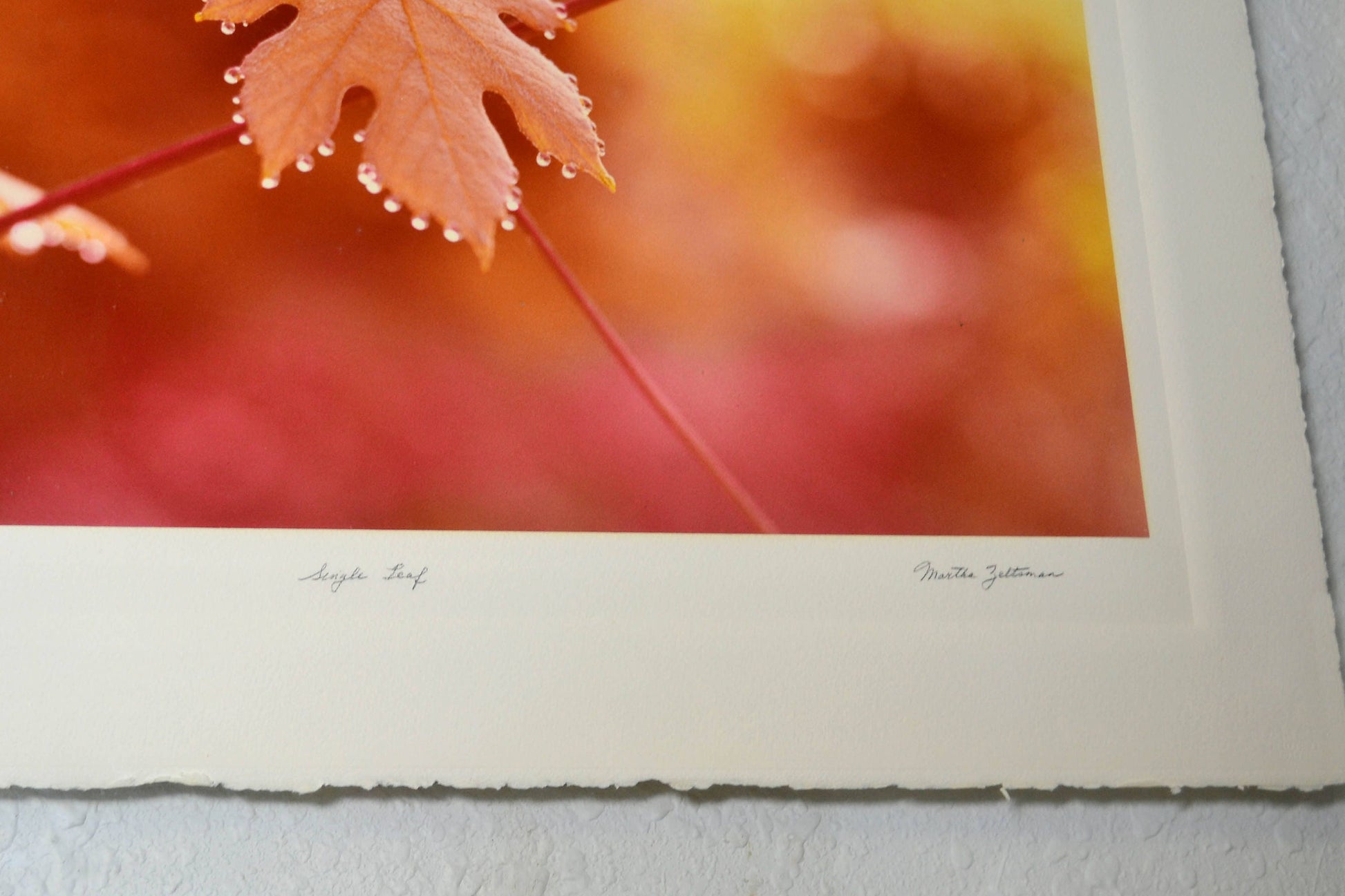 Greg Copeland 1978 Lithograph “Red Leaf"