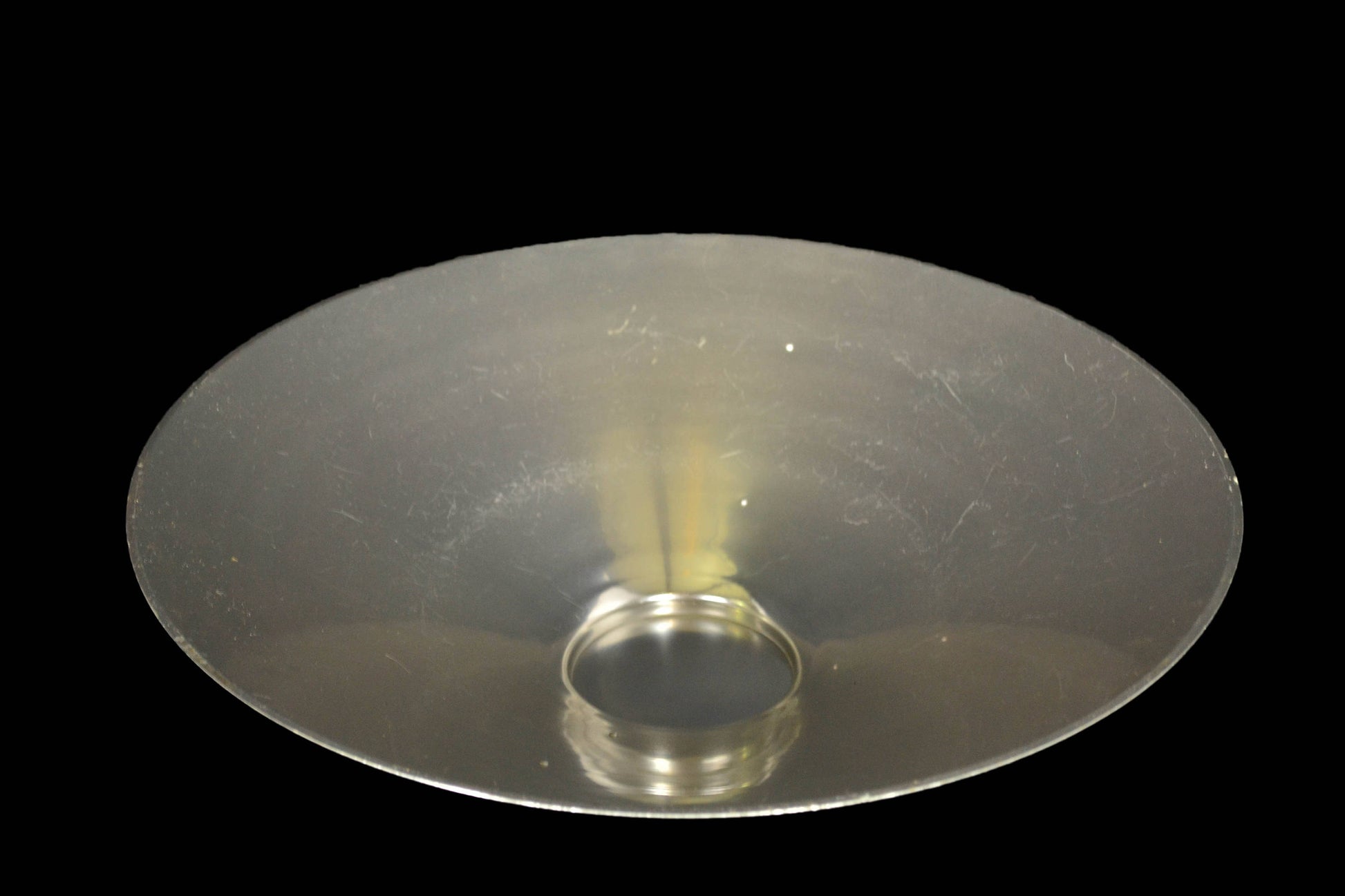 Aluminum Bowl with Brass Laurel Leaf 