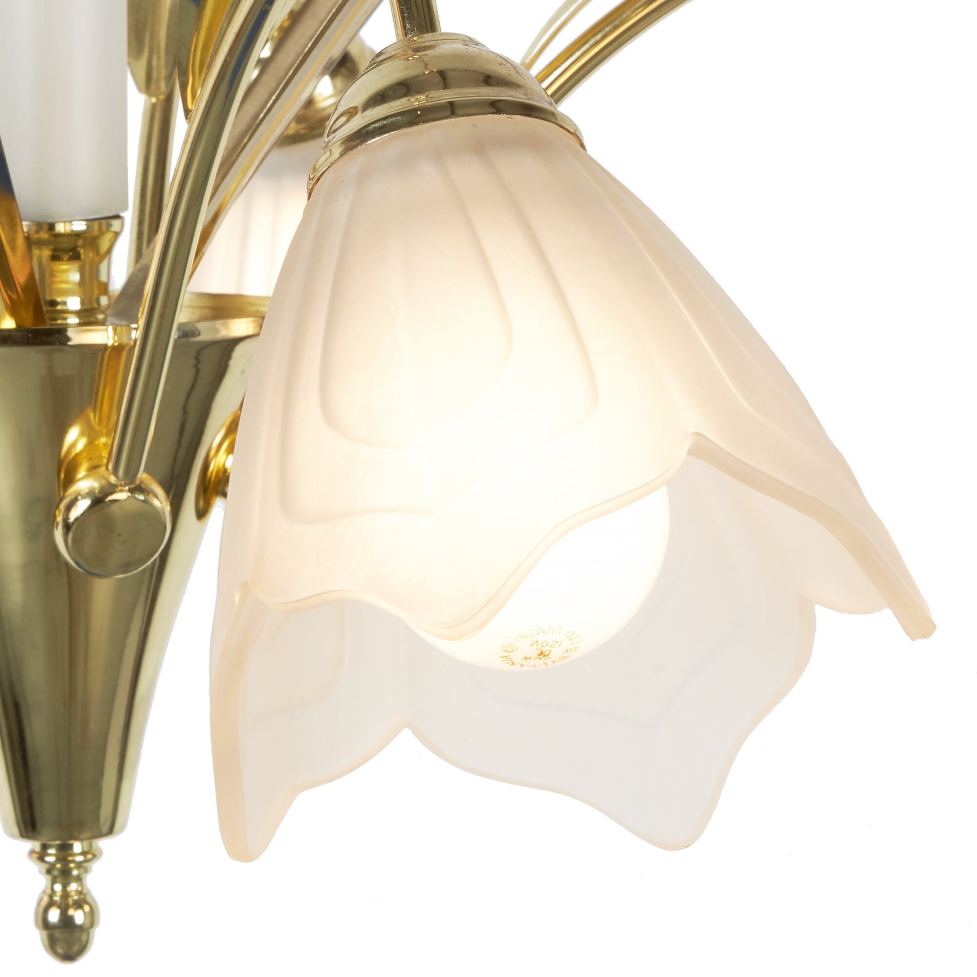 Glass | Brass 5-Arm Floral Chandelier
