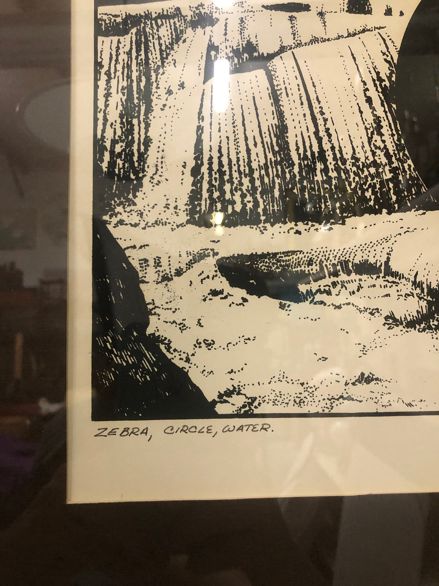 Zebra, Circle, Water 1977 Signed Print