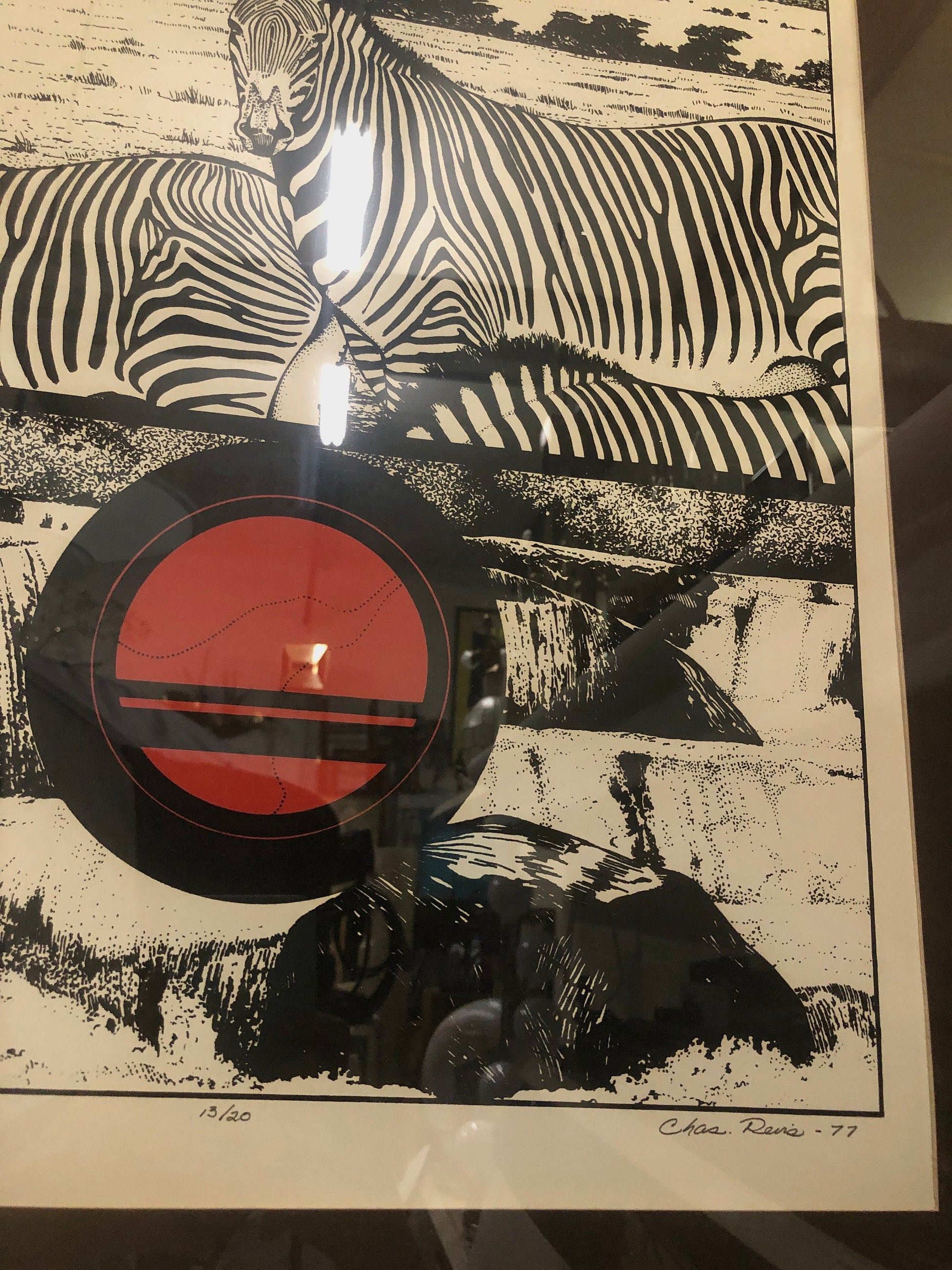 Zebra, Circle, Water 1977 Signed Print