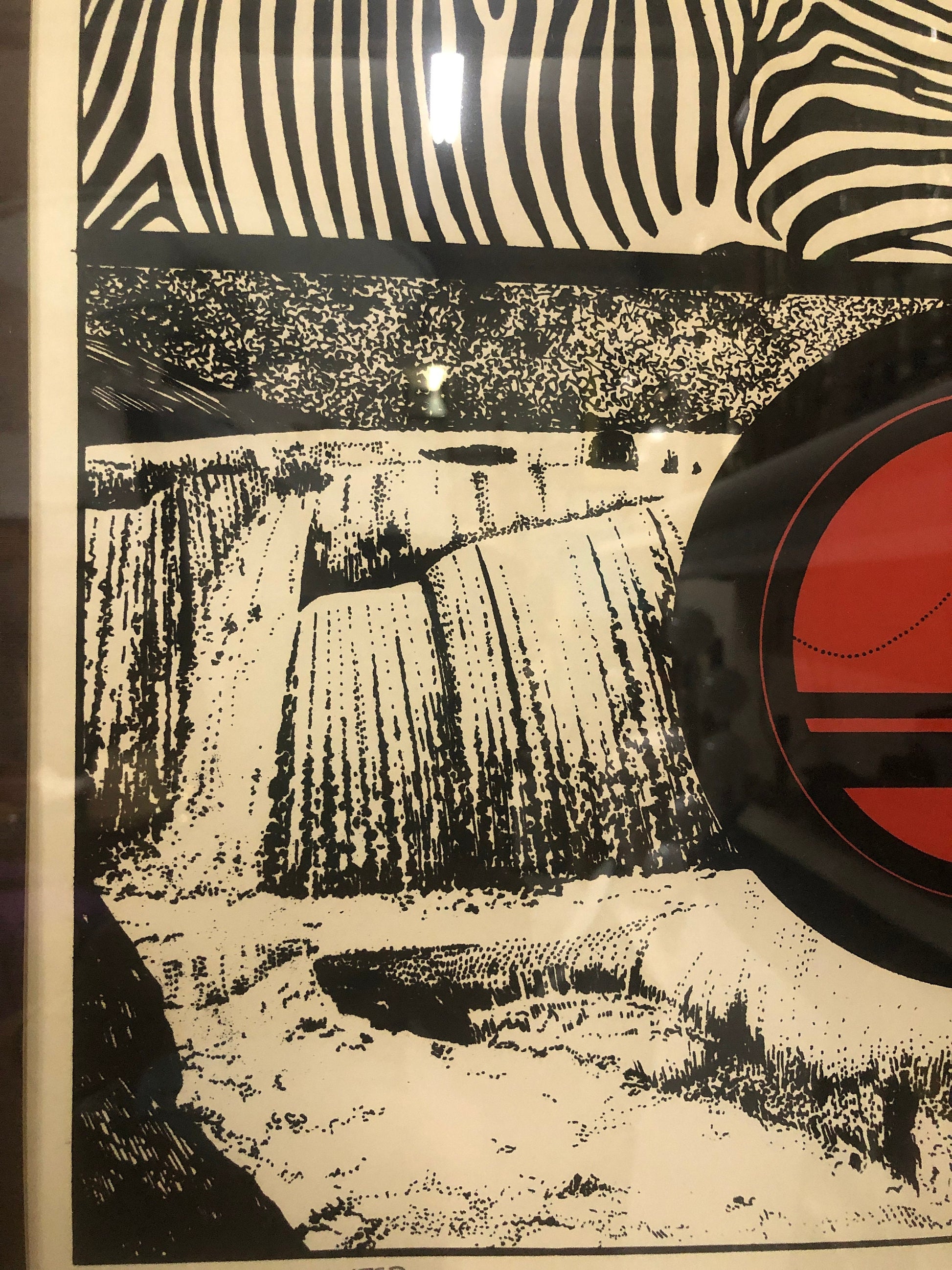Zebra, Circle, Water 1977 Signed Print