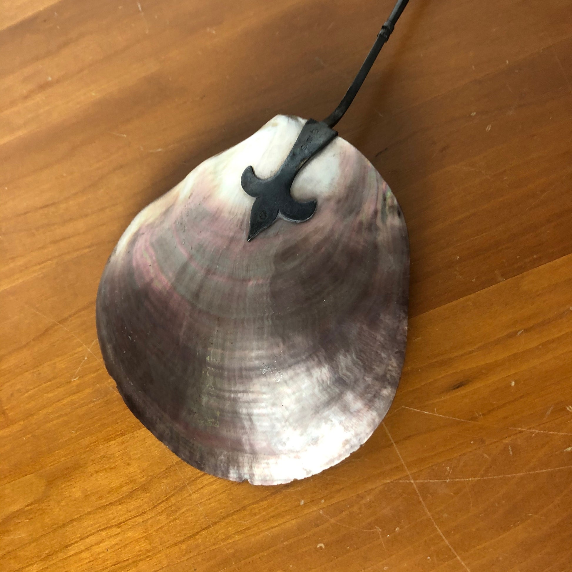 Seashell Spatula with Pewter Handle