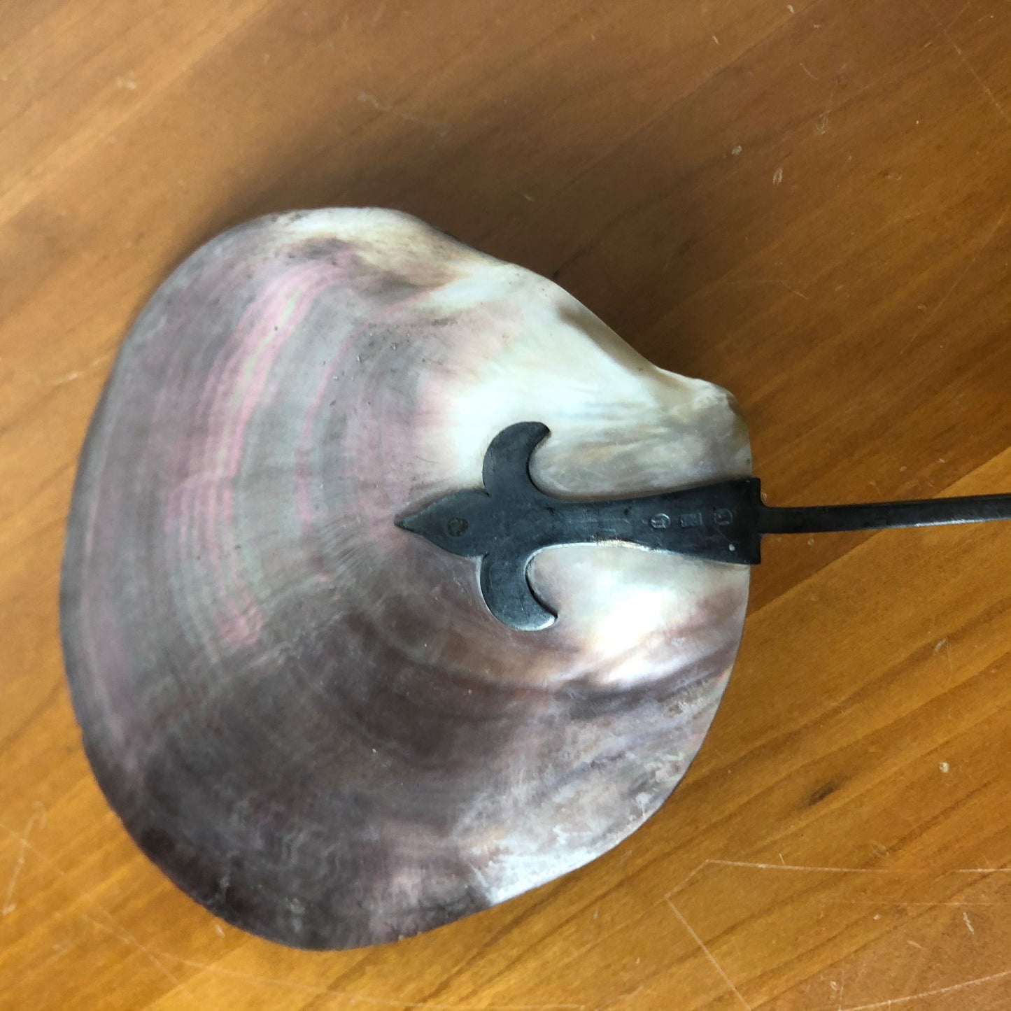 Seashell Spatula with Pewter Handle