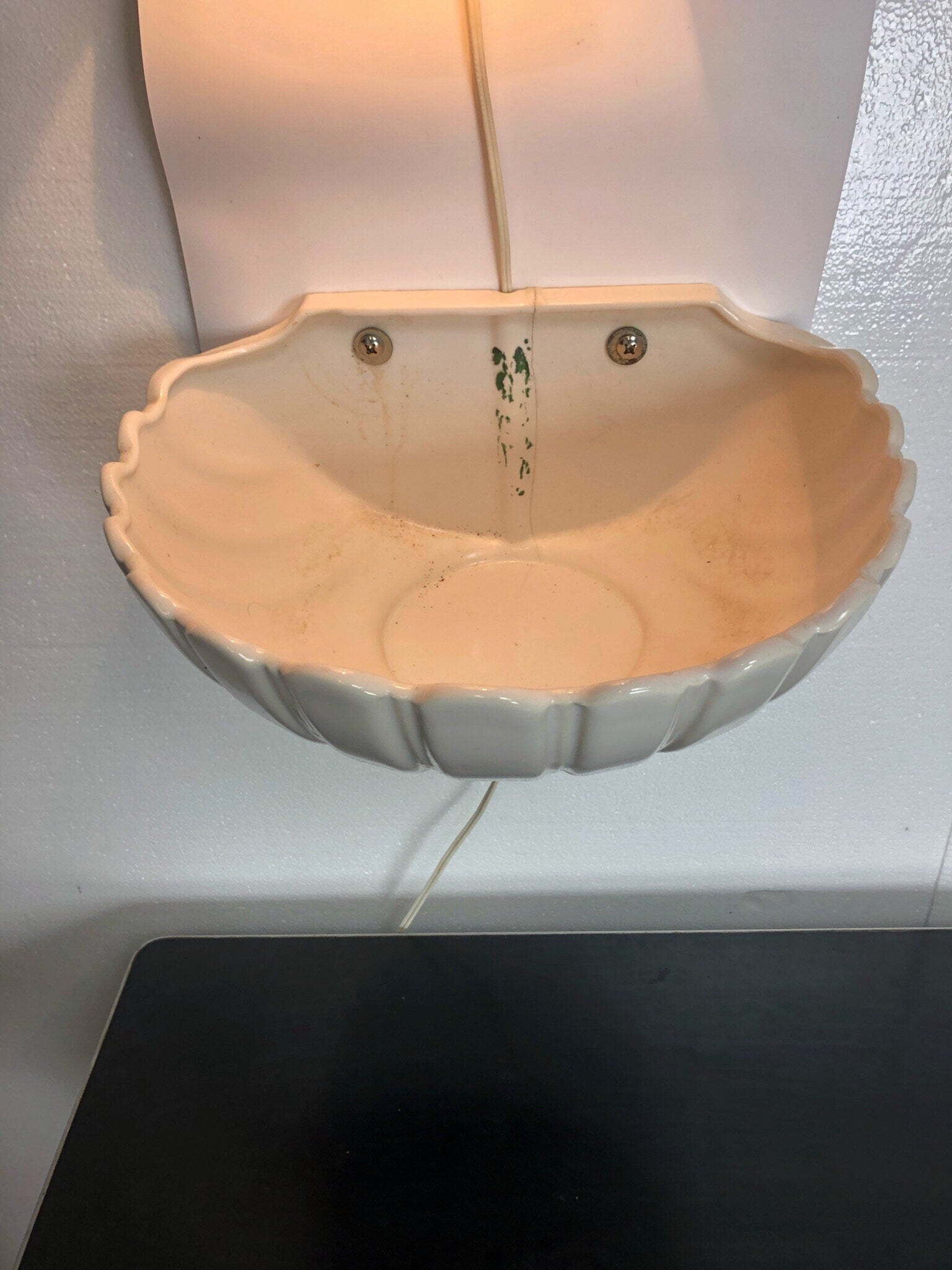 Porcelain Koi Wall Planter With Light Sconce by Charelton