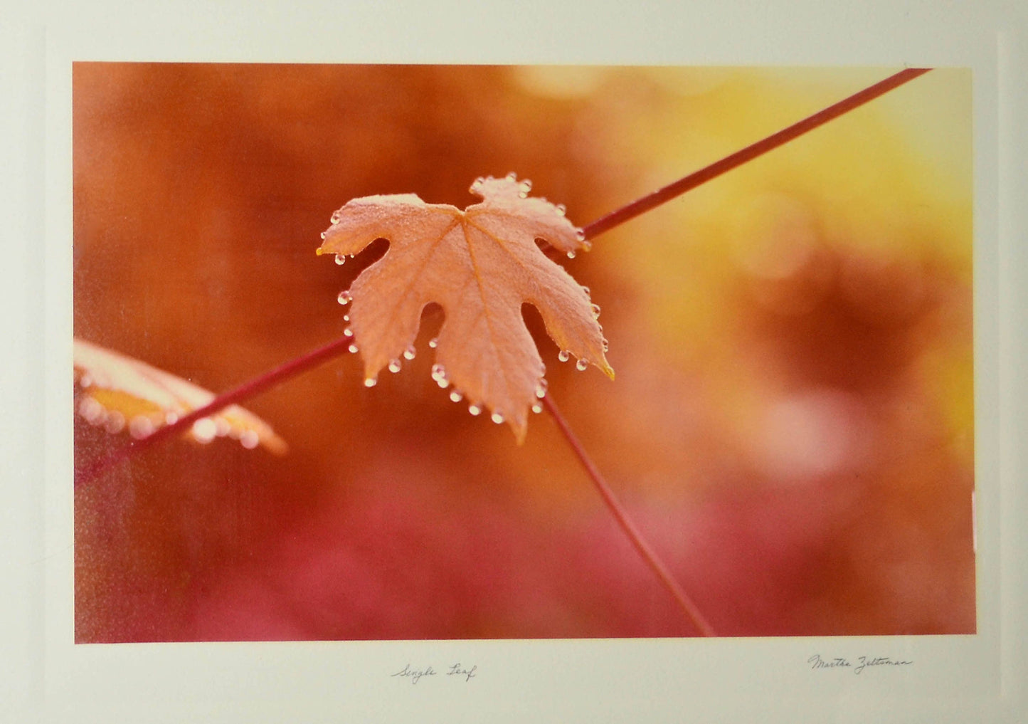 Greg Copeland 1978 Lithograph “Red Leaf"