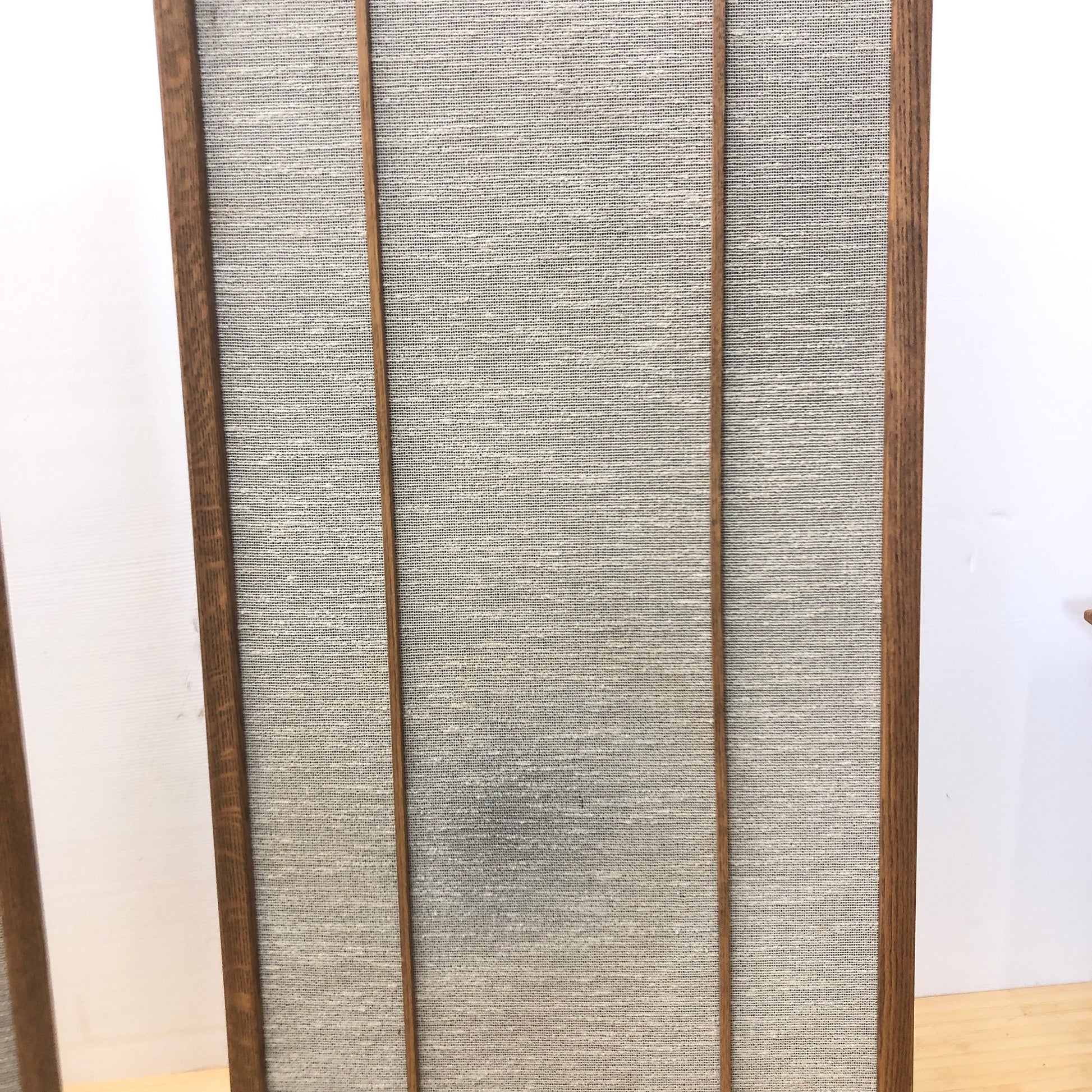 Magnepan Thin Panel Floor Speakers