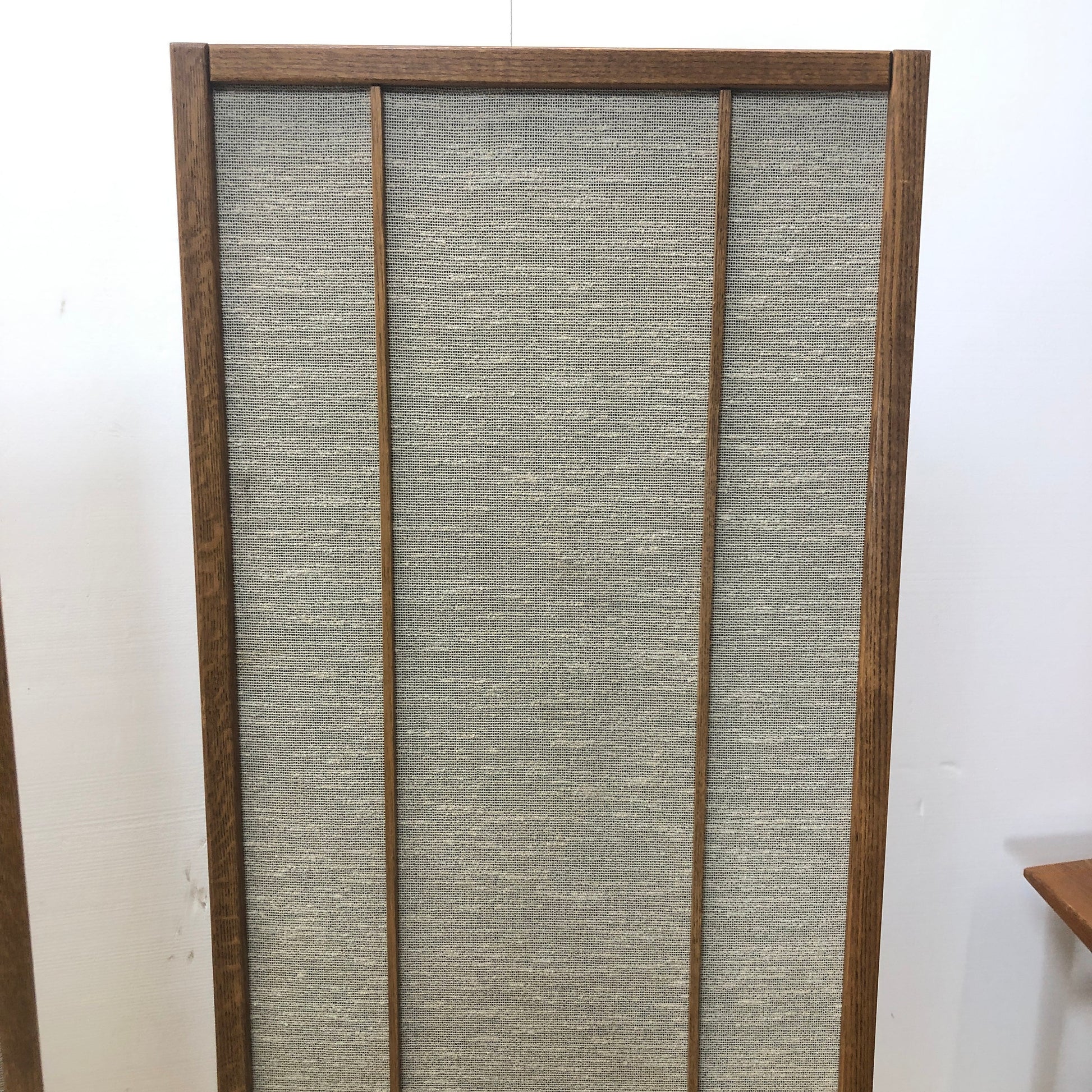 Magnepan Thin Panel Floor Speakers