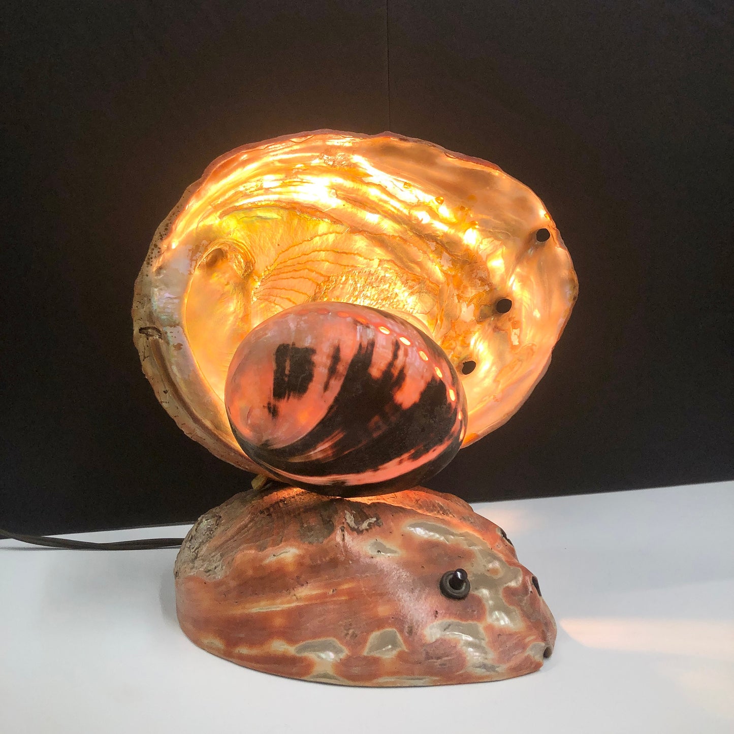 Large Seashell Accent Light