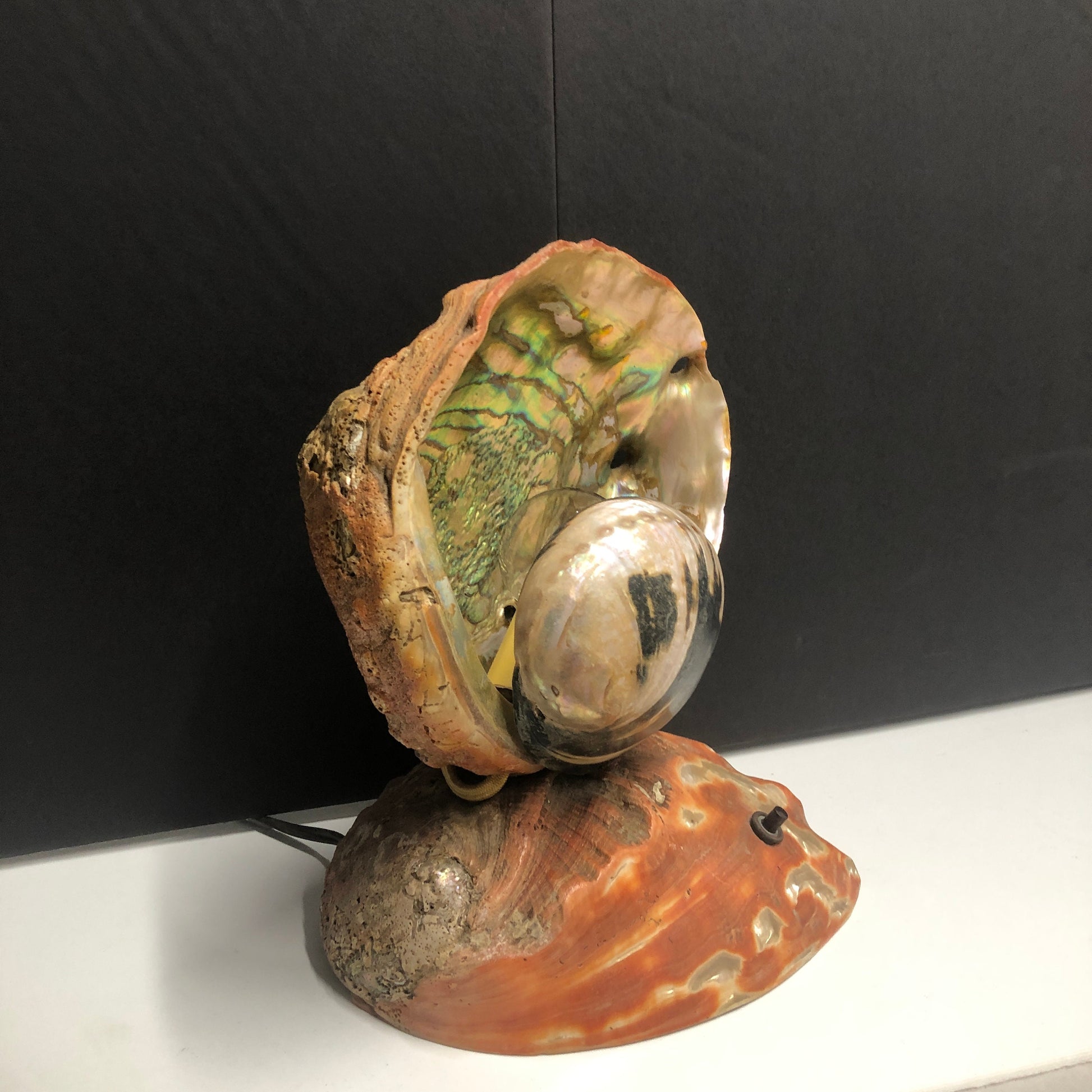 Large Seashell Accent Light